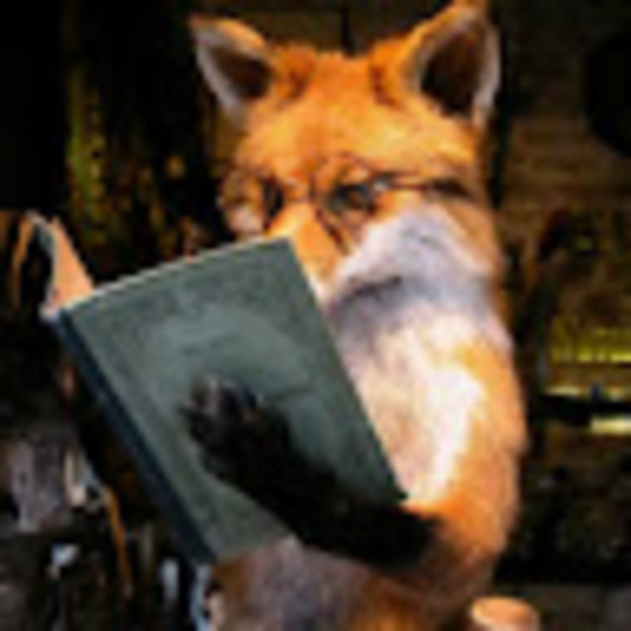 dawnfox8